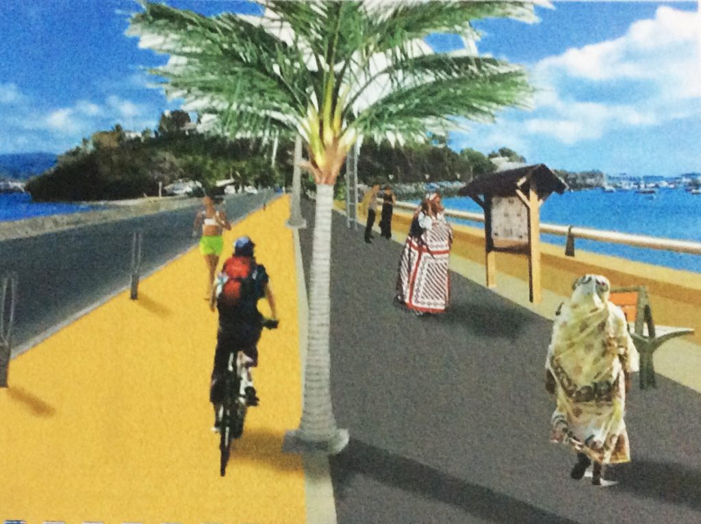 Qu’est devenu le projet de « la promenade des Mahorais » ?